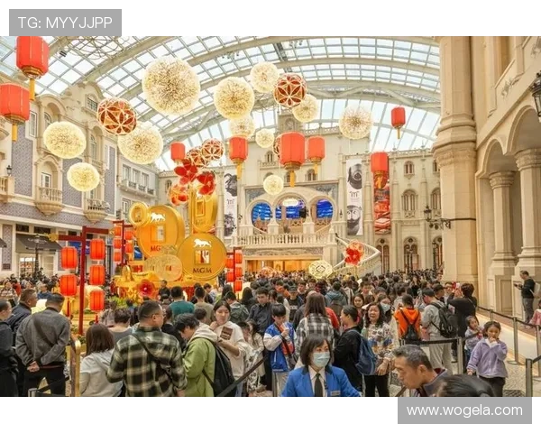 澳门美高梅app登录遇到问题怎么办？详细步骤教你快速解决登录难题提升游戏体验