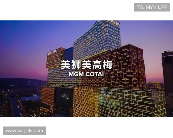 澳门美高梅网址登录指南，详细步骤帮助玩家顺利进入官方平台